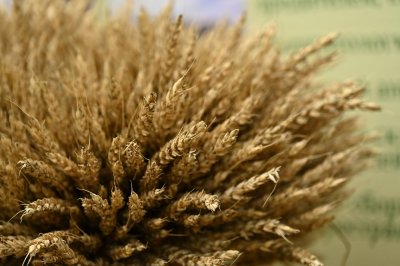 Центр «Мой бизнес» приглашает на интенсив по созданию сельскохозяйственных потребительских кооперативов