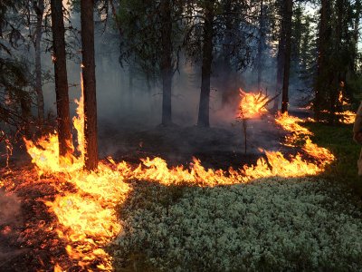 Памятка населению по пожарной безопасности