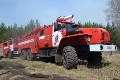 Обстановка с лесными пожарами в Челябинской области стабилизирована