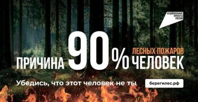 Причина 90% лесных пожаров — человек!