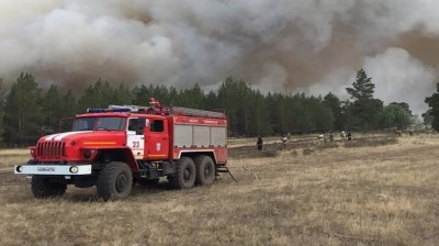 По данным ГУ МЧС по Челябинской области, на тушение возгораний привлечено  более 300 человек и 70 единиц техники