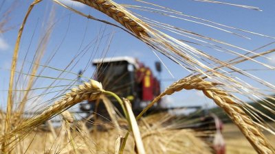 В Челябинской области стартует национальный проект: начинается прием документов на гранты «Агростартап»