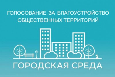 Почти 10 млн россиян приняли участие в голосовании за объекты благоустройства