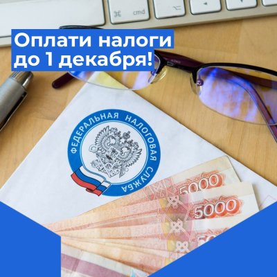 1 декабря истекает срок уплаты имущественных налогов! 