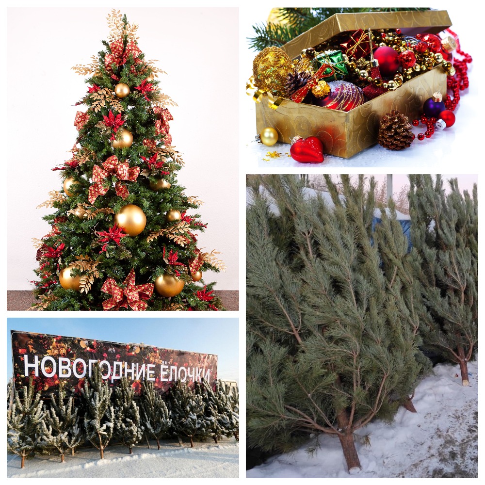 Новогодняя ярмарка по продаже хвойных деревьев и товаров новогоднего ассортимента