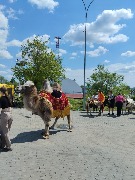 IMG_20240601_122314.jpg