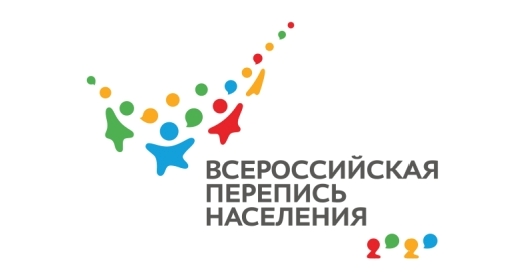 Около 30% жителей Челябинской области приняли участие в переписи населения