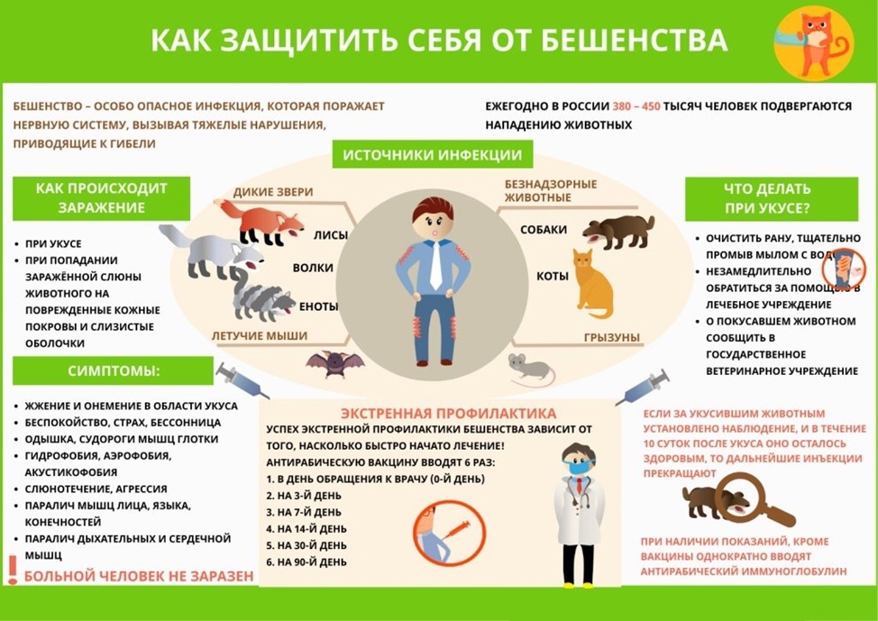 Бешенство – природно-очаговое особо опасное смертельное инфекционное заболевание.