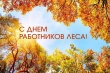 Поздравление губернатора Челябинской области Алексея Текслера с Днем работников леса и лесоперерабатывающей промышленности 