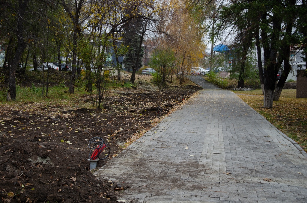 DSC_0329.jpg