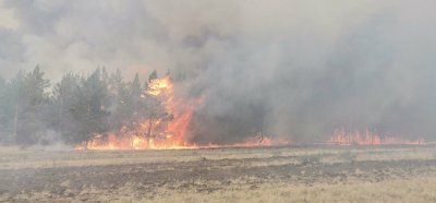 В Увельском районе 8 июля произошел природный пожар вблизи с.Дуванкуль