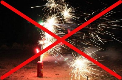 Увельчан призывают отказаться от запуска фейерверков и шумного веселья в новогодние праздники!