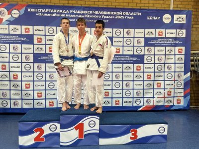 Призовые места на соревнованиях по дзюдо