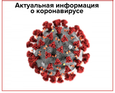 Актуальная информация, связанная с коронавирусом, в новом разделе сайта!