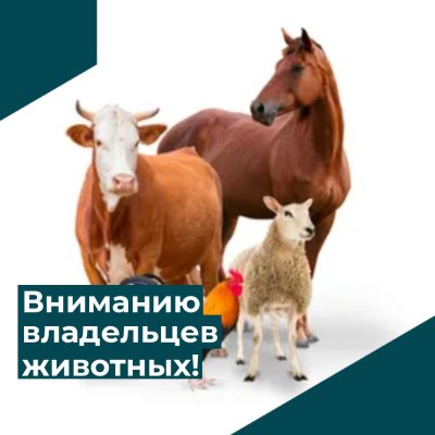 Информация для владельцев сельскохозяйственных животных!
