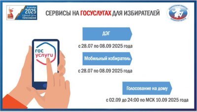СЕРВИСЫ НА ГОСУСЛУГАХ ДЛЯ ИЗБИРАТЕЛЕЙ