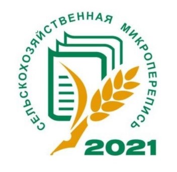 С 1 по 30 августа 2021 года в нашей стране, в том числе и в Челябинской области пройдет первая в истории сельскохозяйственная микроперепись
