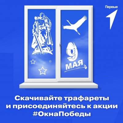 Представители «Движения Первых» украсят Окна Победы во всем регионе