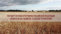 Правила предоставления субсидий российским кредитным организациям на возмещение недополученных доходов по выданным потребительским кредитам, предоставленным гражданам РФ, проживающим на сельских территориях на повышение уровня благоустройства домовладений