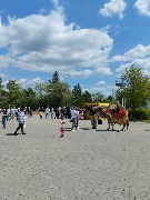 IMG_20240601_122347.jpg