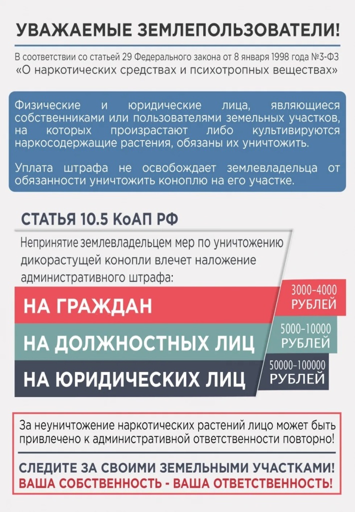d2047141-a1cf-49b2-9c25-f4228da1e270.jpg
