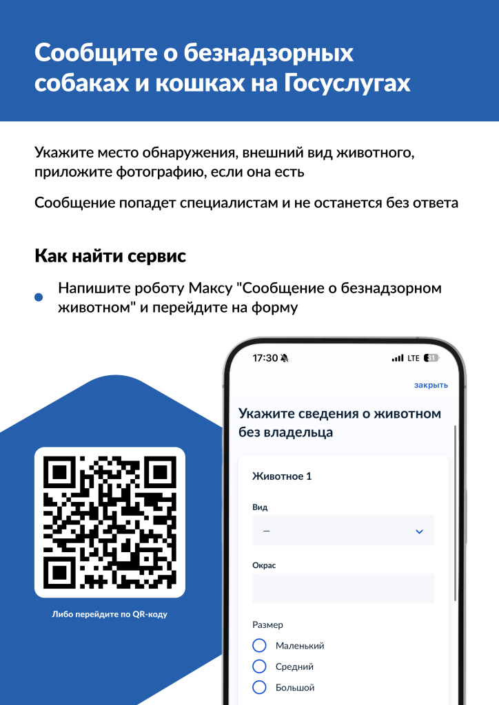 Изображение_отлов.png