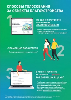 Способы голосования за объекты благоустройства.