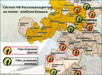 На полях Южного Урала  активизировался «хлебный оккупант»