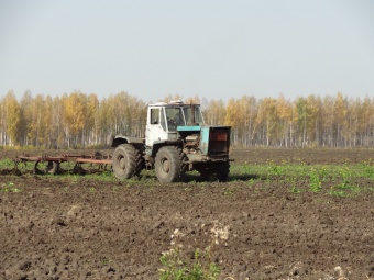 В районе завершается уборка урожая