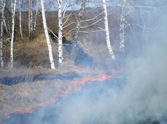 Четвертый этап учений – «Выполнение практических мероприятий по защите населенных пунктов, объектов экономики и социальной инфраструктуры от лесных пожаров»