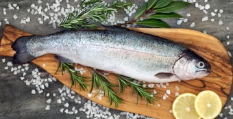 Рыбный форум: интерес россиян к аквакультурному туризму вырос на 20% – РСХБ 