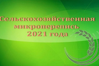 Ждите переписчика в зелёном жилете с эмблемой сельскохозяйственной микропереписи