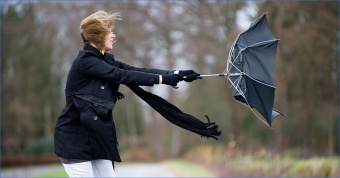 ОПЕРАТИВНАЯ ИНФОРМАЦИЯ № 74