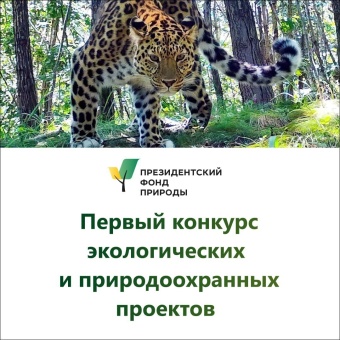 Стартовал прием заявок на конкурс экологических и природоохранных проектов Президентского фонда природы