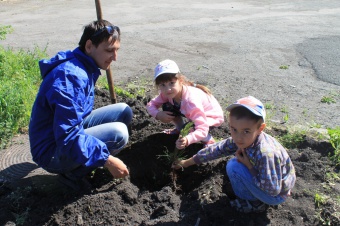 Высадка деревьев во дворах детских садов района и детского дома
