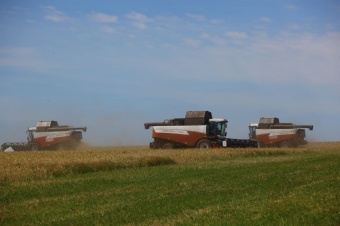 Алексей Текслер оценил темпы развития сельского хозяйства в Агаповском районе