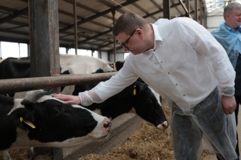 Алексей Текслер ознакомился с ходом посевной кампании