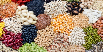 «Золотая осень»: РСХБ прогнозирует рекорды по сбору трех ключевых культур в сезоне 2025/2026