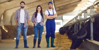 Россельхозбанк запустил ИИ-сервис для знакомства и трудоустройства в агрогородах России