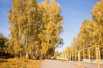 Алексей Текслер направил дополнительно 500 млн рублей муниципалитетам региона 