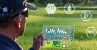 Рынок сити-фермерства в России вырос до 200 млн рублей  – РСХБ