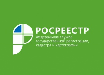На коллегии Управления Росреестра обсудили важнейшие вопросы в сфере недвижимости региона