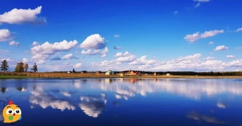 ОТДАЙ СВОЙ ГОЛОС ЗА ЛУЧШЕЕ ФОТО!