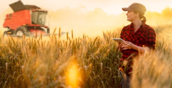 Женщины возглавляют 40% проектов МСБ в агротуризме – РСХБ