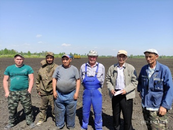 ООО СХ «Новая»: преодолевая засуху