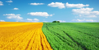 Россельхозбанк в пятый раз подряд подтвердил статус лидера Антикоррупционного рейтинга – 2025