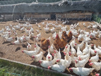 Вот и подошел к завершению наш благотворительный проект "Жидэ сибекай"!