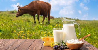 Россия достигла рекордного уровня потребления протеина животного происхождения – 27,9 кг на человека