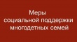 О статусе и дополнительных мерах социальной поддержки многодетной семьи в Челябинской области