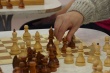 В Усть-Катаве прошли турниры по шашкам и шахматам